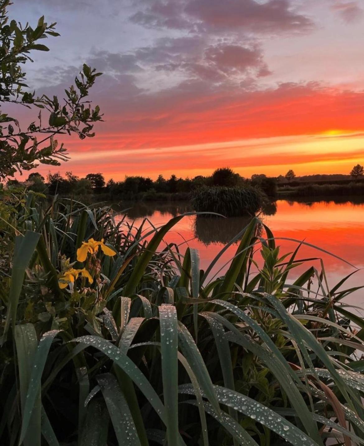 New Farm Cheshire Holidays Winsford  Dış mekan fotoğraf
